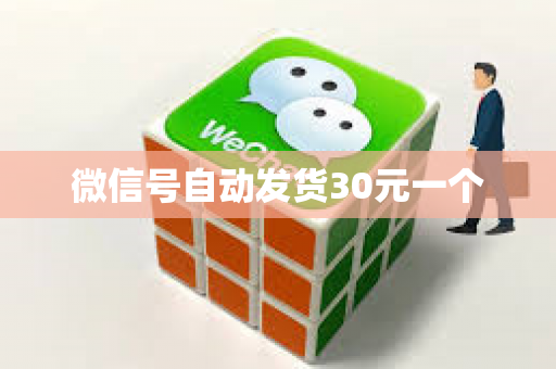 微信号自动发货30元一个