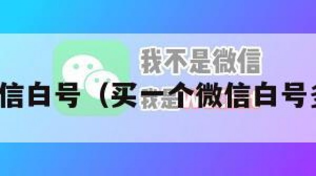 购买微信白号（买一个微信白号多少钱）